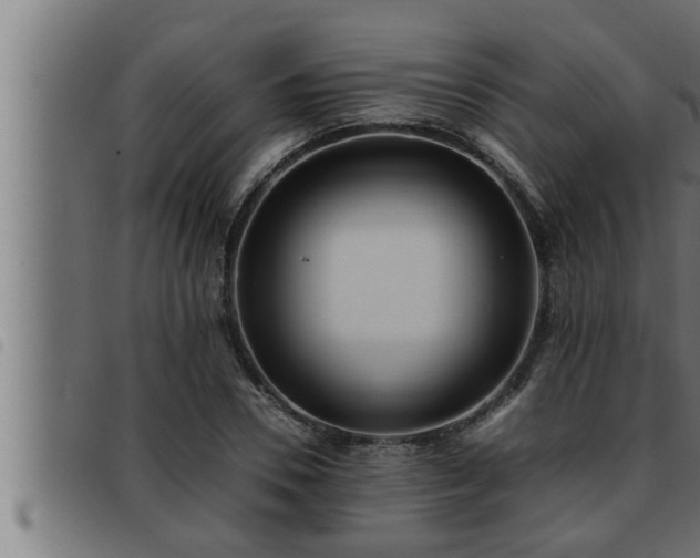 X0000093490930200710121503