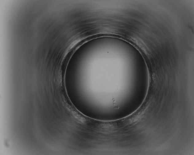 X0000093490931200710121503