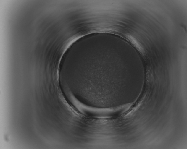 X0000093490932200710121503