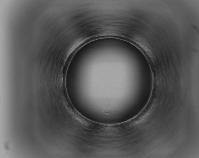 X0000093490933200710121503
