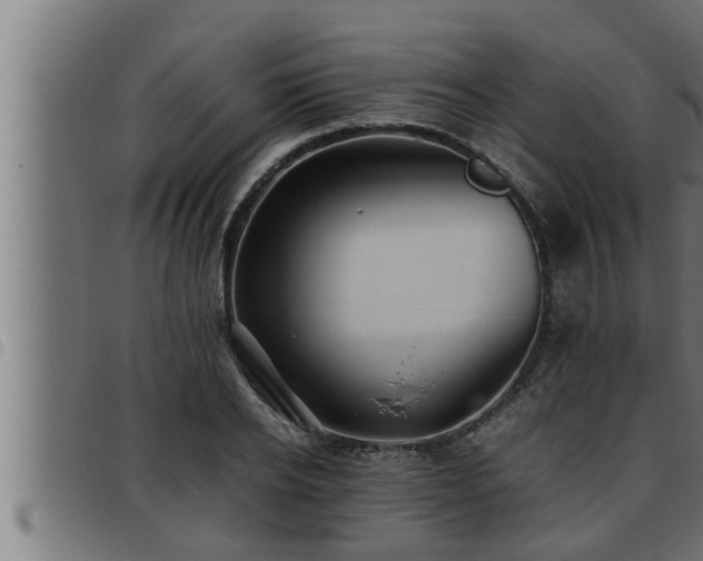 X0000093490934200710121503