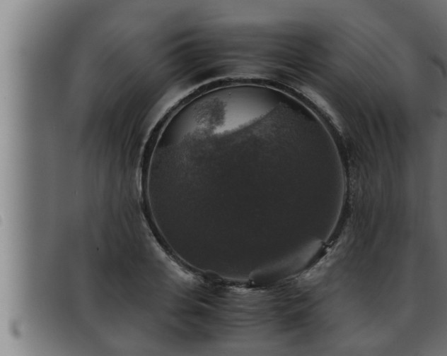 X0000093490935200710121503