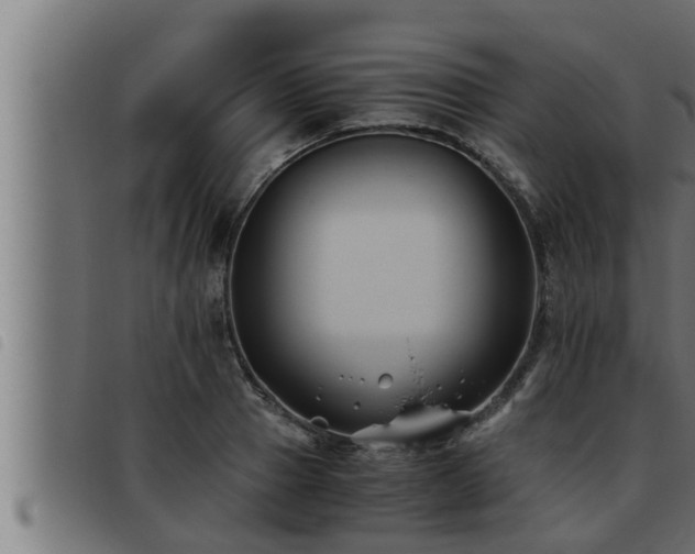 X0000093490937200710121504