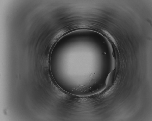 X0000093490938200710121504