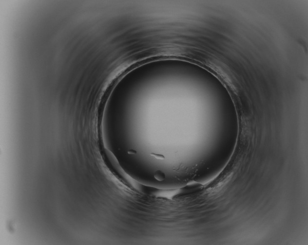 X0000093490939200710121504