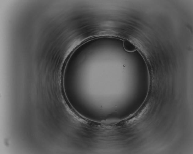 X0000093490941200710121504