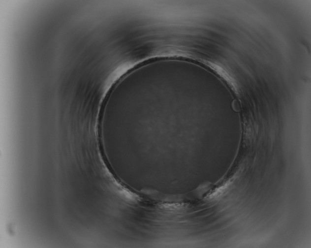 X0000093490943200710121504