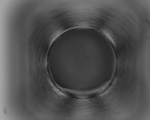 X0000093490944200710121504