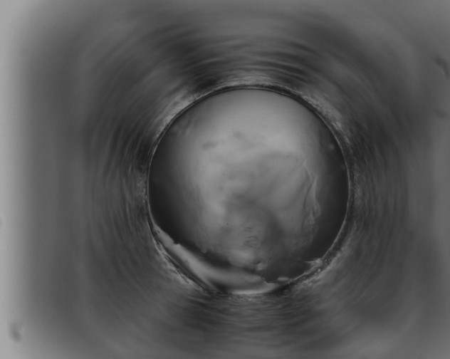 X0000093490945200710121504