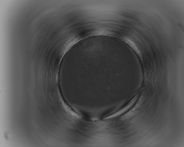 X0000093490946200710121504