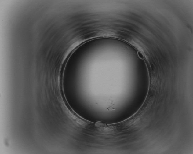 X0000093490947200710121504