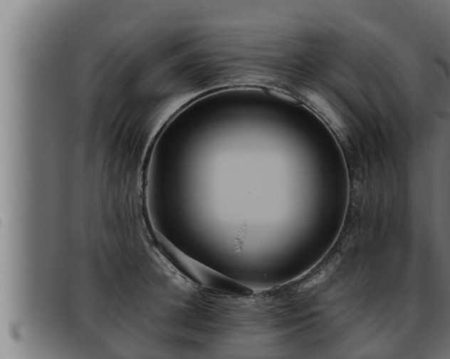 X0000093490948200710121504