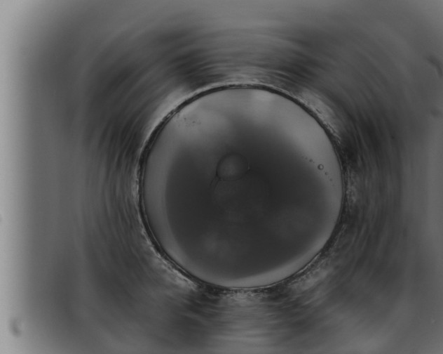 X0000093490950200710121504