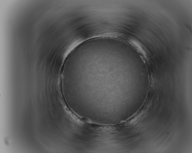 X0000093490952200710121504