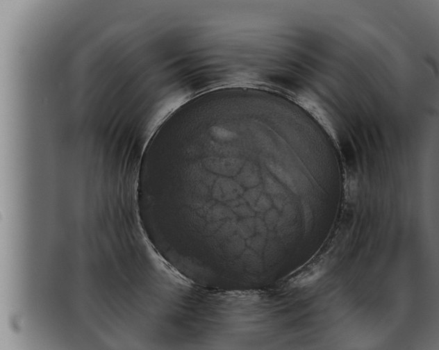 X0000093490954200710121504