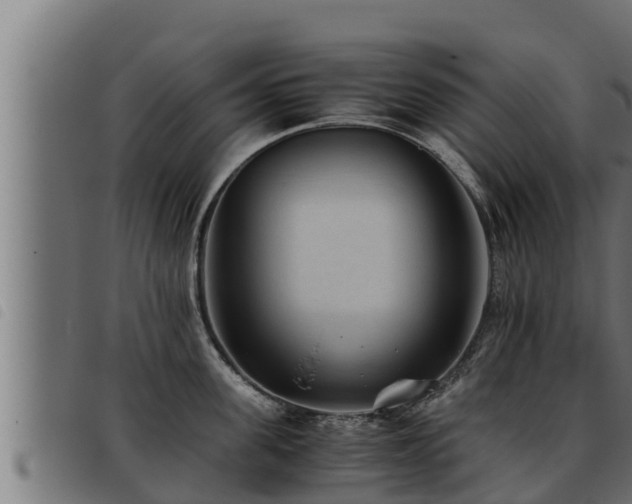 X0000093490955200710121504