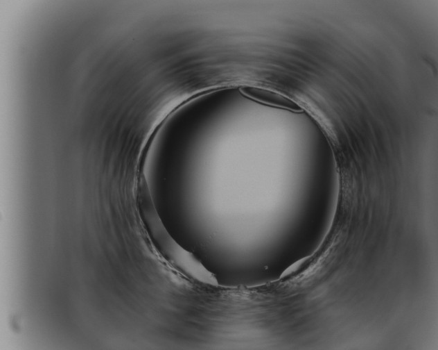 X0000093490956200710121504