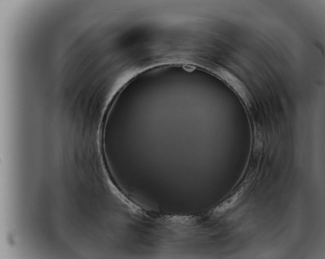 X0000093490958200710121504