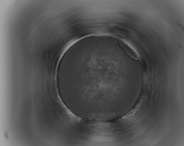 X0000093490959200710121504