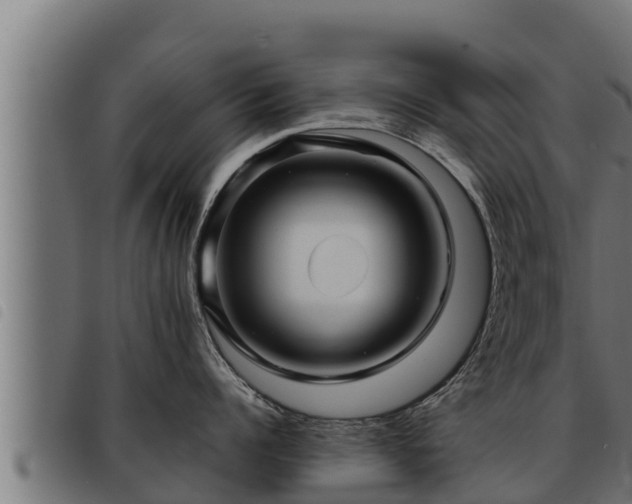 X0000093490960200710121504