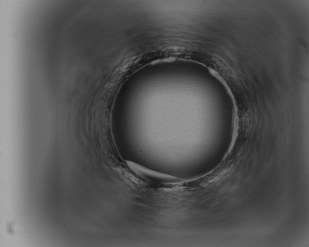 X0000093490961200710121503