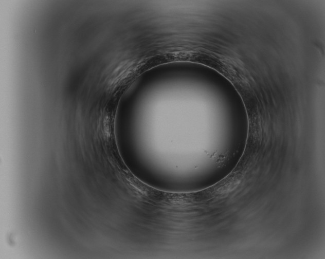 X0000093490962200710121503