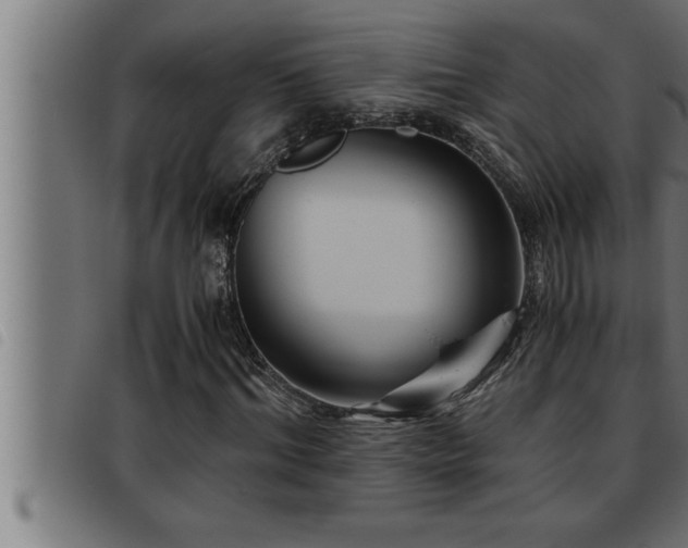 X0000093490964200710121503