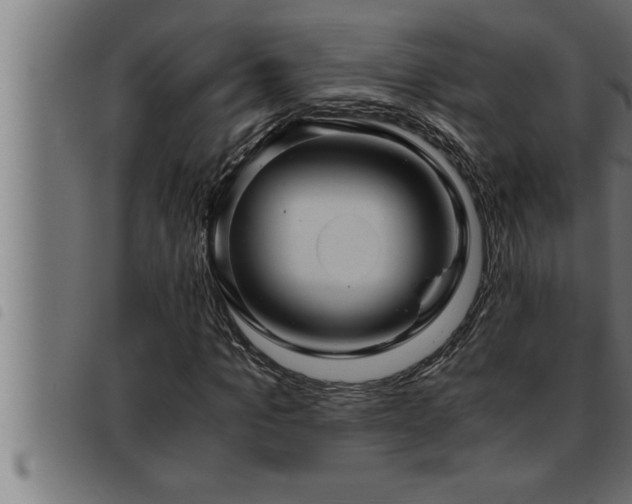 X0000093490965200710121503