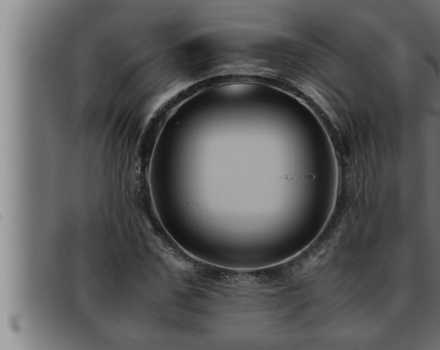 X0000093490971200710121503