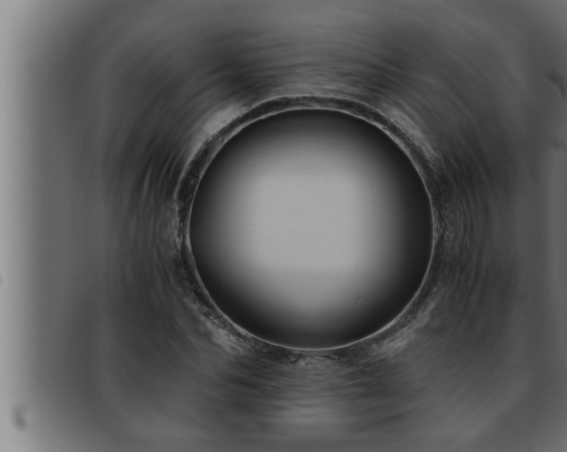 X0000093490974200710121503