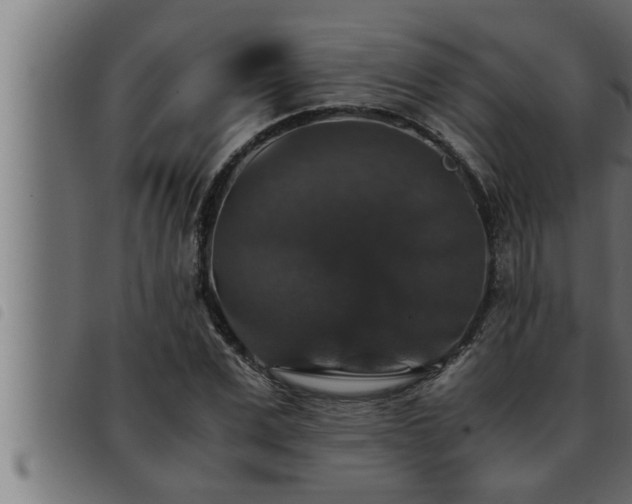X0000093490975200710121503