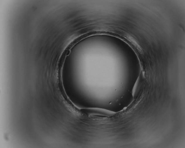 X0000093490976200710121503