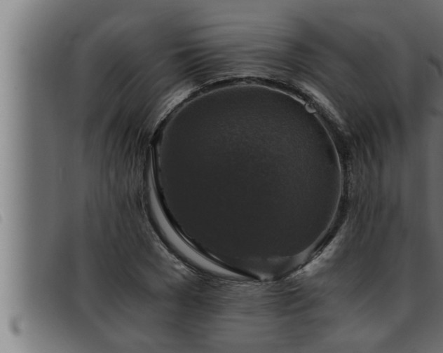 X0000093490977200710121503