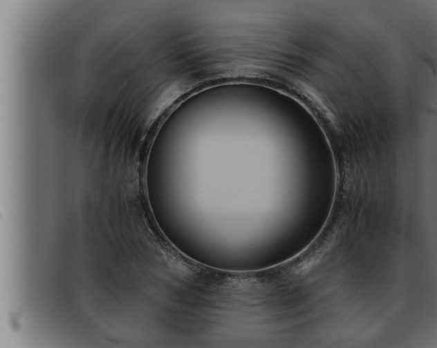 X0000093490978200710121503