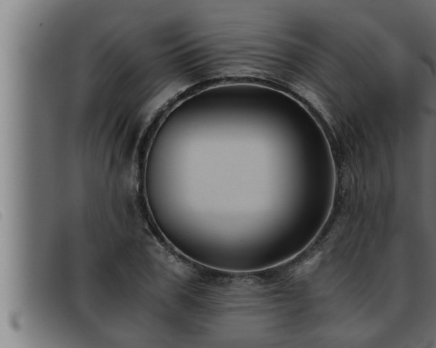 X0000093490979200710121503