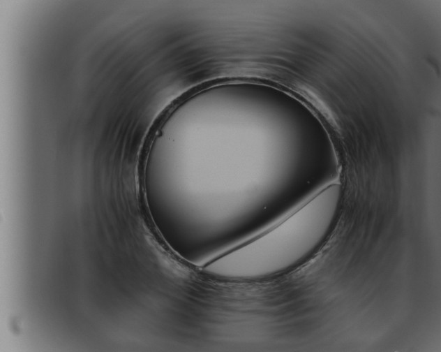 X0000093490980200710121503