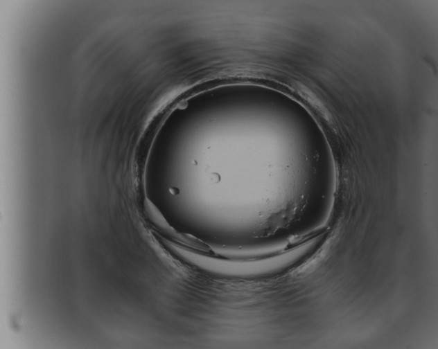 X0000093490981200710121503