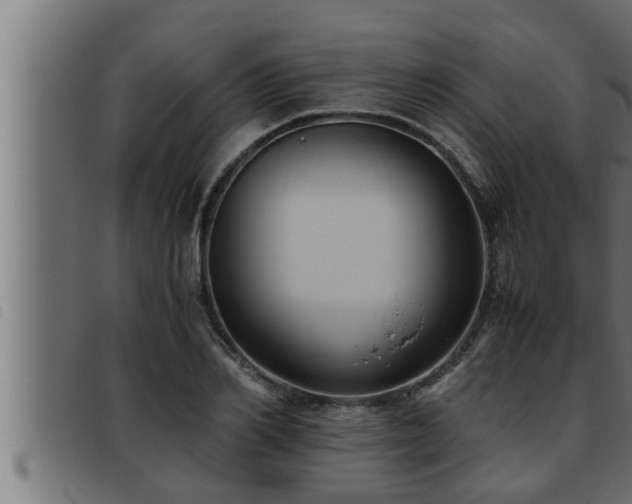 X0000093490982200710121503