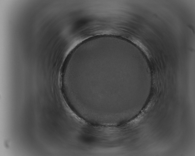 X0000093490983200710121503