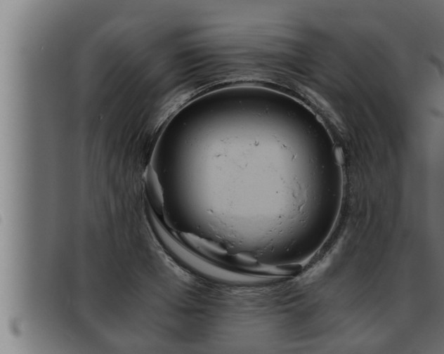 X0000093490985200710121503
