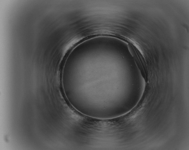 X0000093490987200710121503