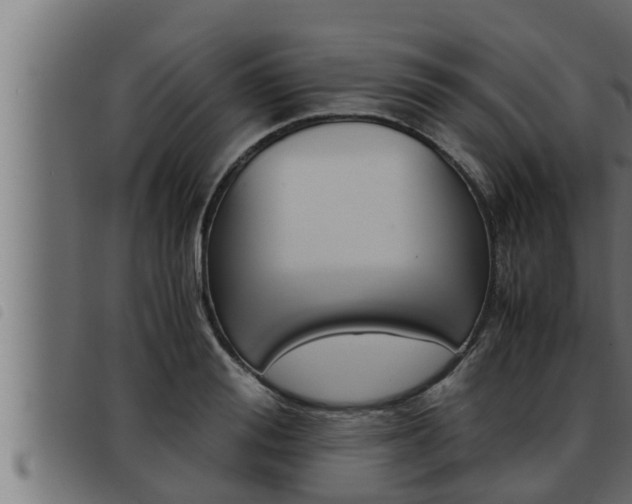 X0000093490988200710121503