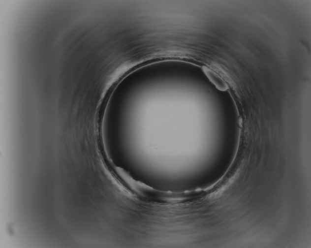 X0000093490989200710121503
