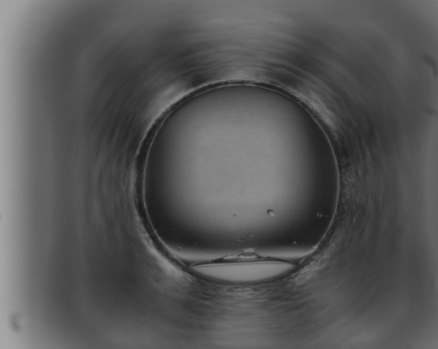 X0000093490991200710121503