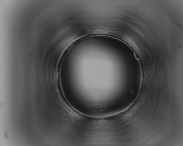 X0000093490992200710121503