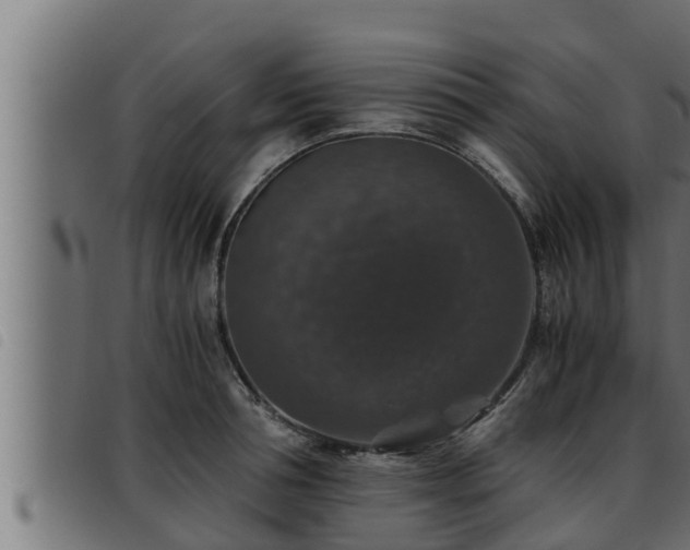 X0000093490994200710121503