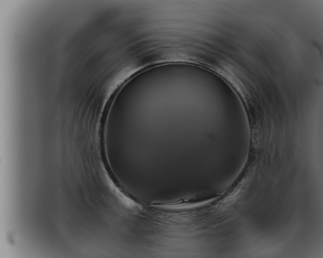 X0000093490995200710121503