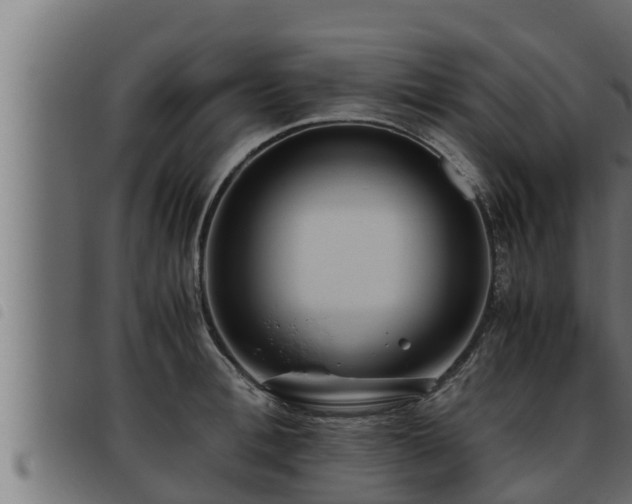 X0000093490996200710121503