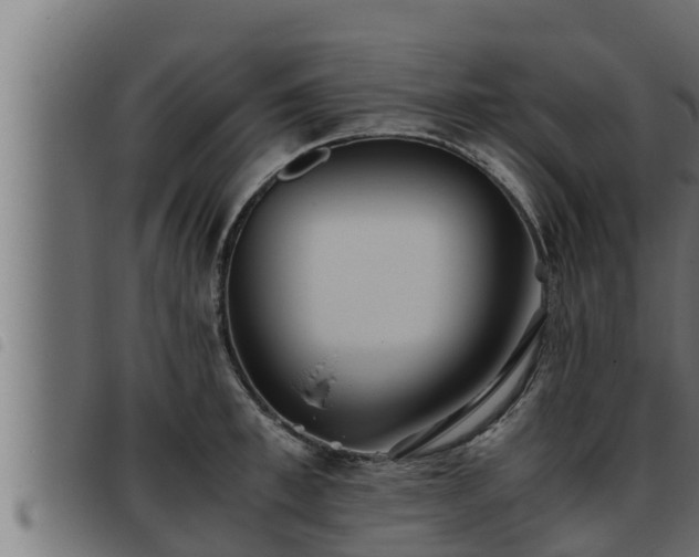 X0000093490997200710121503