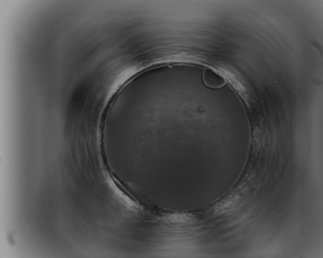 X0000093490998200710121503